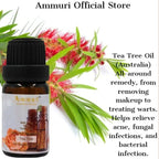 Essential Oils Gift Set, Fragrance Oil Aromatherapy Diffuser Essential Oils Set - AROMATHERAPY ESSENTIAL OILS - British D'sire