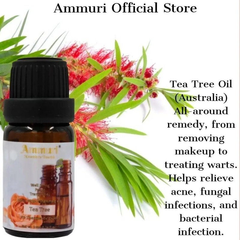 Essential Oils Gift Set, Fragrance Oil Aromatherapy Diffuser Essential Oils Set - AROMATHERAPY ESSENTIAL OILS - British D'sire