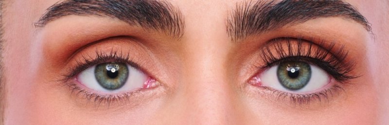 Eylure Light and Wispy Shorter Band Lashes 162 - False Eyelashes - British D'sire