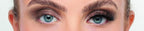 Eylure Luxe Velvet Noir Lashes with Matte Black Fibres - Eclipse - False Eyelashes - British D'sire