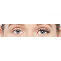 Eylure Wild and Wispy Lashes - Untamed - False Eyelashes - British D'sire