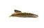 Feather Tie Clip, Anti - Brass - British D'sire