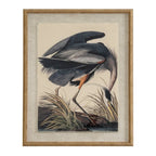 Flora & Fauna Collection Heron On Linen In Beaded Frame - Wall Art & Signs - British D'sire