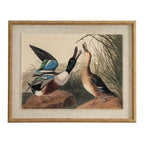 Flora & Fauna Collection Mallards On Linen In Beaded Frame - Wall Art & Signs - British D'sire