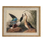 Flora & Fauna Collection Mallards On Linen In Beaded Frame - Wall Art & Signs - British D'sire