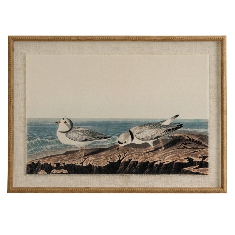 Flora & Fauna Collection Plovers On Linen In Beaded Frame - Wall Art & Signs - British D'sire