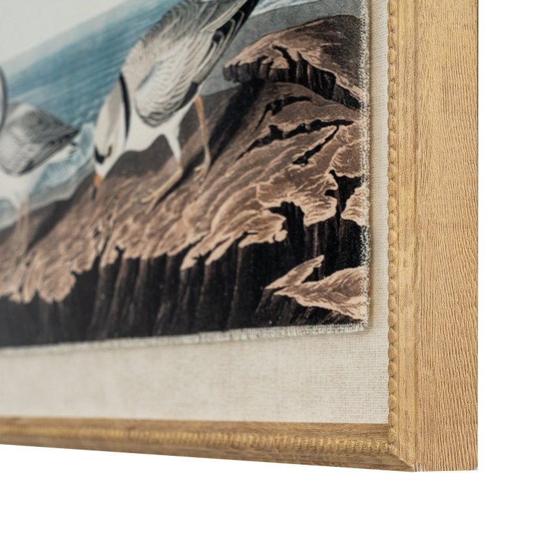 Flora & Fauna Collection Plovers On Linen In Beaded Frame - Wall Art & Signs - British D'sire