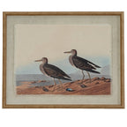 Flora & Fauna Collection Sandpipers On Linen In Beaded Frame - Wall Art & Signs - British D'sire