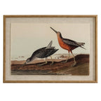 Flora & Fauna Collection Snipes On Linen In Beaded Frame - Wall Art & Signs - British D'sire