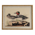 Flora & Fauna Collection Teals On Linen In Beaded Frame - Wall Art & Signs - British D'sire