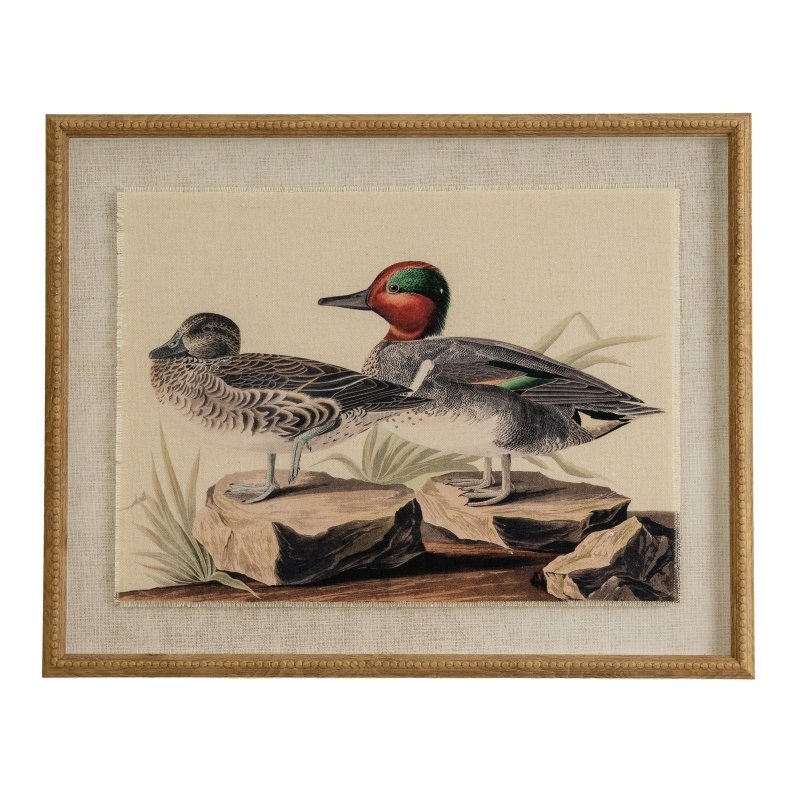 Flora & Fauna Collection Teals On Linen In Beaded Frame - Wall Art & Signs - British D'sire