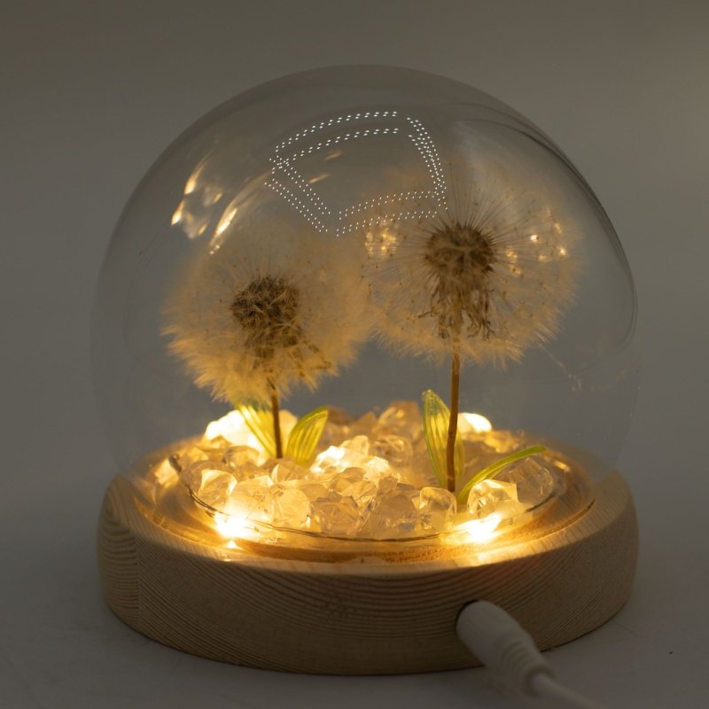 Floral Glow Garden Dome - 2 Dandelions - Led Usb - Floral Glow Garden Dome - British D'sire
