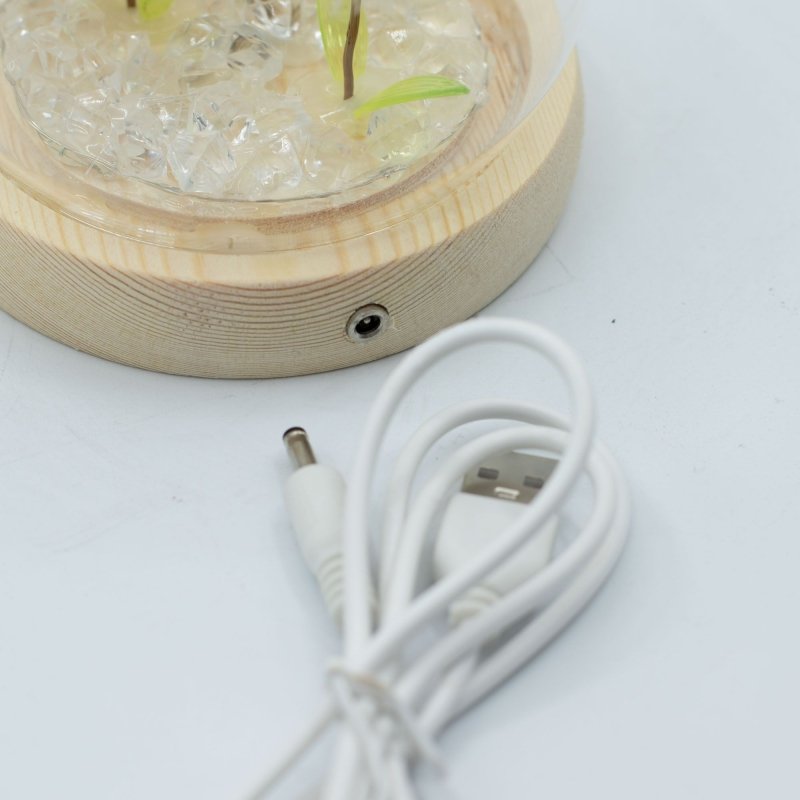 Floral Glow Garden Dome - 2 Dandelions - Led Usb - Floral Glow Garden Dome - British D'sire