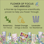 Heathcote & Ivory Flower of Focus Scented Drawer Liners | Add Style and Fragrance to Drawers & Wardrobes | Kitchens & Bedrooms | Vegan Friendly | 6 Sheets