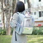 FUNADD Fold Breathable Pet Backpack Outdoor Shoulders Cat Bag(Yellow) - British D'sire