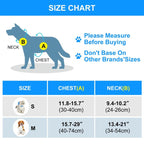 FunAdd Traction Rope Reflective Breathable Nylon Pet Vest Dog Harness, Size: S (Grey) - British D'sire