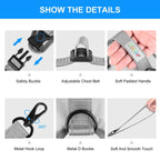 FunAdd Traction Rope Reflective Breathable Nylon Pet Vest Dog Harness, Size: S (Grey) - British D'sire