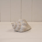 Glazed Ceramic Shell Ornament with Textured Detail - Home Decor - British D'sire