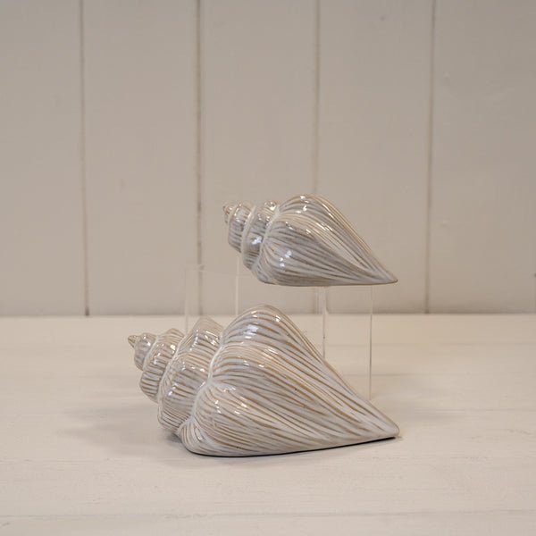 Glazed Ceramic Shell Ornament with Textured Detail - Home Decor - British D'sire