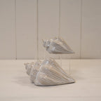 Glazed Ceramic Shell Ornament with Textured Detail - Home Decor - British D'sire