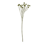Green Craspedia Stem Artificial Flower Stem - Artificial Plants & Trees - British D'sire