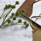 Green Craspedia Stem Artificial Flower Stem - Artificial Plants & Trees - British D'sire