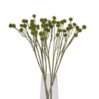 Green Craspedia Stem Artificial Flower Stem - Artificial Plants & Trees - British D'sire