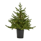 Green Forest Fir Pre-Lit Led 300L Christmas Tree In Pot - Christmas Decor - British D'sire