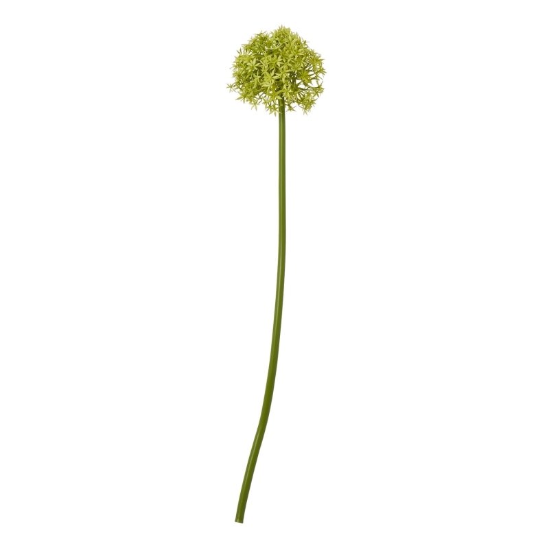 Green Medium Allium Stem Artificial Flower Stem - Artificial Plants & Trees - British D'sire Main image