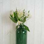 Green Tall Bottle - Ceramic Vase - British D'sire