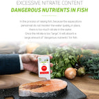 Greentest ECO6T Food Nitrate Water Quality Nuclear Radiation Environmental Detector With Timer, EU Plug - British D'sire