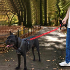HCPET Dog Traction Rope Pet High - Elastic Explosion - Proof Elastic Rope, Length: 75cm(Black) - British D'sire