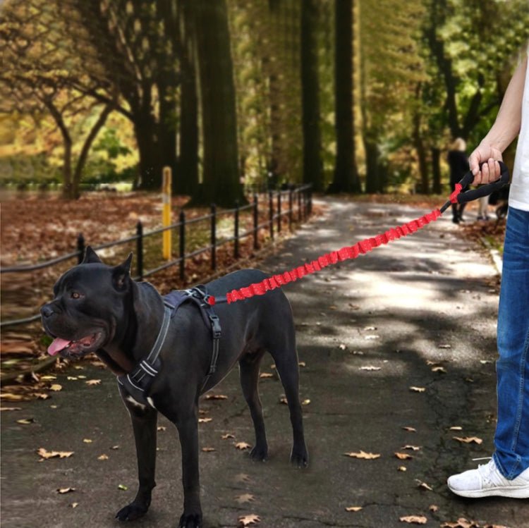 HCPET Dog Traction Rope Pet High - Elastic Explosion - Proof Elastic Rope, Length: 75cm(Black) - British D'sire