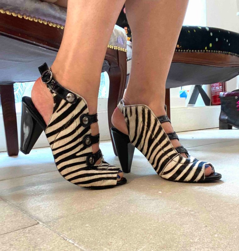 Honey - Zebra Pony - Heel Shoe - British D'sire