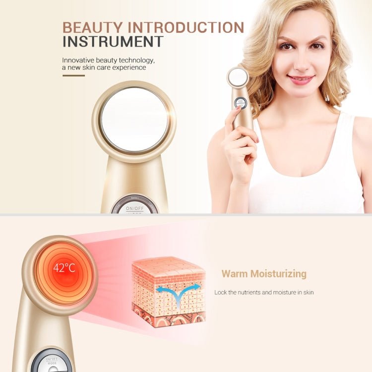 K - SKIN KD9930 Facial Thermostat Beauty Introduction Instrument Beauty Device Face Cleansing Massager for Women Facial Skin Care - British D'sire