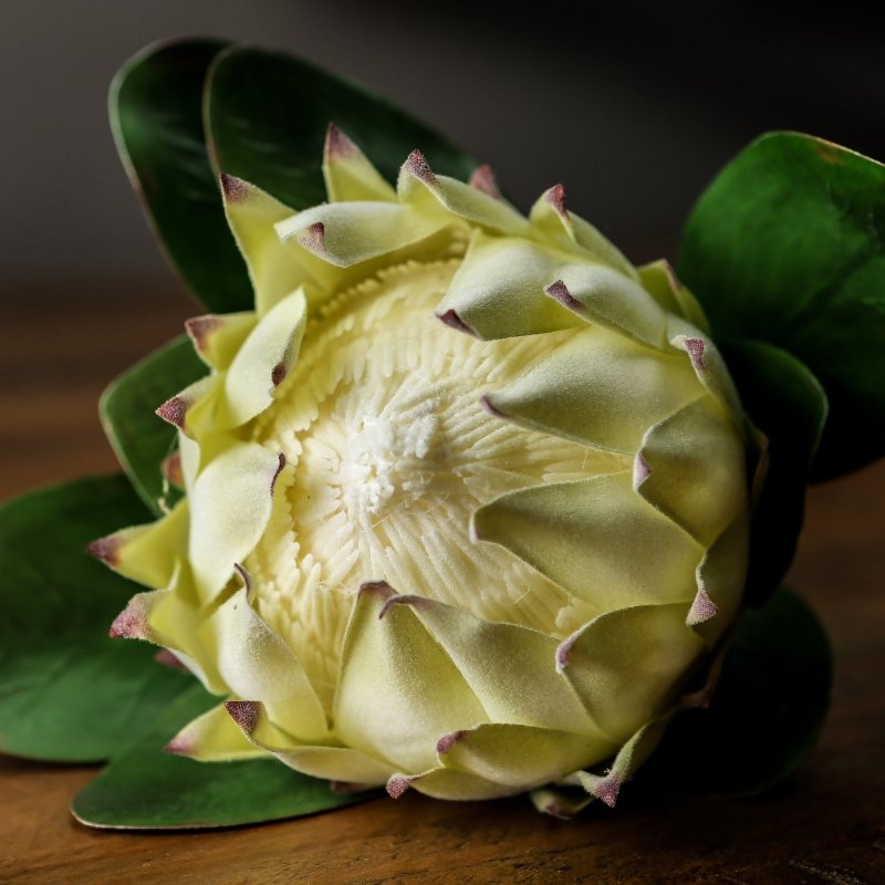 Large White Protea Artificial Flower Stem - Artificial Flowers & Stems - British D'sire