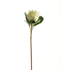 Large White Protea Artificial Flower Stem - Artificial Flowers & Stems - British D'sire