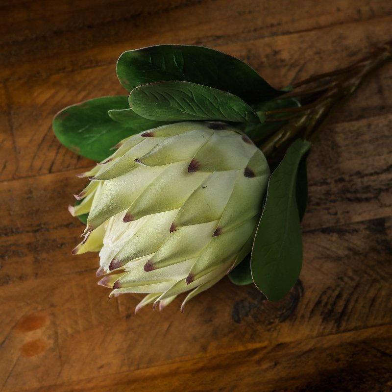 Large White Protea Artificial Flower Stem - Artificial Flowers & Stems - British D'sire