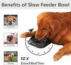 Lazio MateeyLife Slow Feeder Dog Bowl – Anti - Choking Puzzle Bowl for Small/Medium Dogs | 2 - Cup Capacity, 7.8 - Inch Black Interactive Bowl to Slow Down Eating | Promotes Healthy Digestion & Engaging Mealtime - Pet Bowl - British D'sire