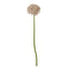 Lilac Giant Allium Stem Artificial Flower Stem - Artificial Plants & Trees - British D'sire