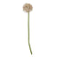 Lilac Medium Allium Stem Artificial Flower Stem - Artificial Plants & Trees - British D'sire
