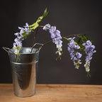 Lilac Wisteria Artificial Flower Stem - Artificial Plants & Trees - British D'sire
