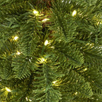 Medium Green Woodland Pre-Lit 200 Led Christmas Tree - Christmas Decor - British D'sire