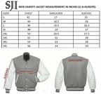 Men Varsity Jacket - Baseball Bomber Style, Regular Fit, Genuine Leather Sleeves, Premium Quality - Varsity Jacket - British D'sire