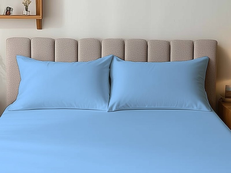 Microfibre Soft Touch Plain Dyed Housewife Pillowcase Pair - British D'sire