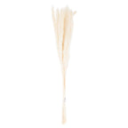 Mini White Pampas Grass Bunch Of 15 Artificial Flower Stem - Artificial Plants & Trees - British D'sire