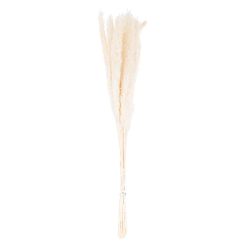 Mini White Pampas Grass Bunch Of 15 Artificial Flower Stem - Artificial Plants & Trees - British D'sire