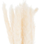 Mini White Pampas Grass Bunch Of 15 Artificial Flower Stem - Artificial Plants & Trees - British D'sire