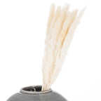 Mini White Pampas Grass Bunch Of 15 Artificial Flower Stem - Artificial Plants & Trees - British D'sire