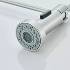 Monobloc Silver Kitchen Sink Mixer Taps with Pull Out Hose Spray Single LeverTap - British D'sire